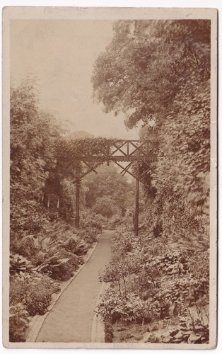 1909 rppc postcard rustic - 1909,